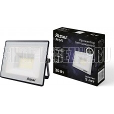 RITTER 53416 1 PROFI 30 Вт 4000К черный