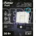 RITTER 53422 2 PROFI 50 Вт 6500К с датчиком движения черный