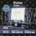 RITTER 53422 2 PROFI 50 Вт 6500К с датчиком движения черный