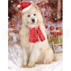 РЫЖИЙ КОТ Алмаз. мозаика (класс.) 22х32 см. с подр., с полн. заполн. (30 цв.) Белоснежный пес НД-5860 ПП-00208516