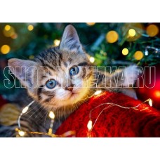 РЫЖИЙ КОТ Алмаз. мозаика (класс.)22х32см. с подр., с полн. заполн. (30 цв.) Котёнок с гирляндой НД-5859 ПП-00208515