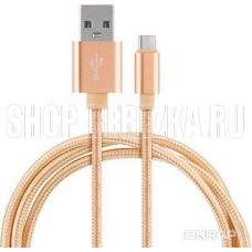 ENERGY Кабель ET-28 USB/Type-C, золотой