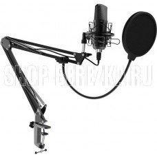 RITMIX RDM-169 черный