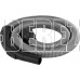 STARWIND SCV2081