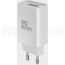AKSBERRY (6900221590011) T40 QC30 (белый)