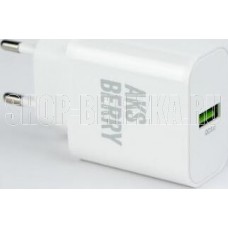 AKSBERRY (6972969383057) T42 QC30 (белый)