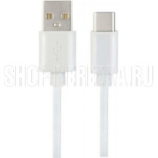 PERFEO (U4704) USB A вилка - Type-C вилка, 2.4A, белый, 1 м, Type-C ONE