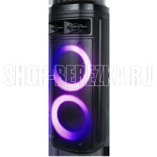 TELEFUNKEN TF-MS3302B(черный)