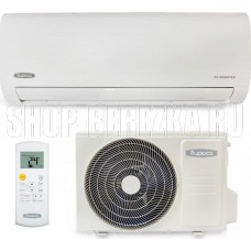 БИРЮСА B-12EIR/B-12EIQ серия Energy Inverter