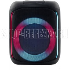 RITMIX SP-905B black