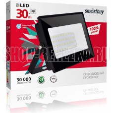 SMARTBUY (SBL-EFLSMD-30-65) FL SMD Pro 30W/6500K/IP65