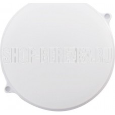 SMARTBUY ( SBL-BTR22-65) Круг 22Вт/6500K/IP65