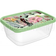 HOMVER Botanica для продуктов прямоугольный 0,5л с декором (зеленый) 222132018/08