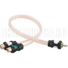 ASPECT RCA-WL2F