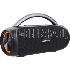 SMARTBUY (SBS-5580) MASTER, черный