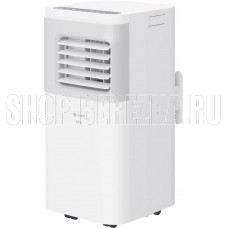 LORIOT LPAC-12TP