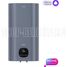 TIMBERK T-WSE50-N61-V-WF c WiFi (N61, 50л.) (серый)