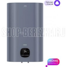 TIMBERK T-WSE80-N61-V-WF c WiFi (N61, 80л.) (серый)