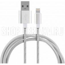 ENERGY Кабель ET-29-2 USB/Lightning, 2 метра, цвет - серебро (104110)