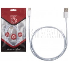 ENERGY Кабель ET-01 USB/Type-C, цвет - серебро (006372)