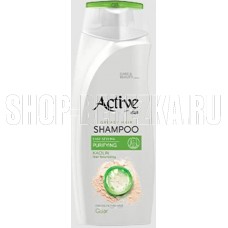 ACTIVE Шампунь для объема волос CARE & BEAUTY. С каолином и гуаром, 350 мл (512102052)