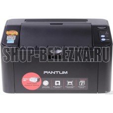 PANTUM P2207