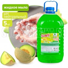 CLEAN&GREEN Жидкое мыло 