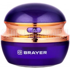 BRAYER BR5031