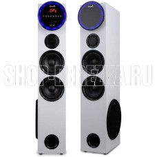 ELTRONIC (30-35) HOME SOUND Колонка 10