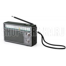RITMIX RPR-131, черный
