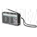 RITMIX RPR-131, черный