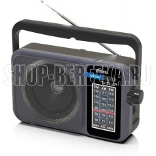 RITMIX RPR-320