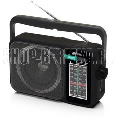 RITMIX RPR-303