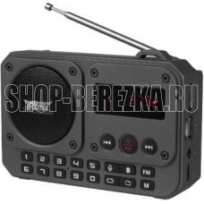 RITMIX RPR-010