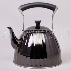 AGNESS 937-911 3,0л индукция