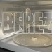 GORENJE BM251SG2BG