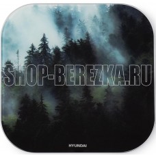 HYUNDAI H-BS03761 макс.180кг т.зеленый