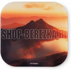 HYUNDAI H-BS03981 макс.180кг оранжевый