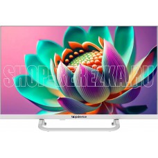 TOPDEVICE TDTV24CS03H_WE SMART