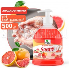 CLEAN&GREEN Жидкое мыло 