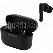 PANASONIC RZ-B110WDG-K Black