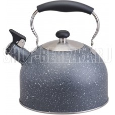AGNESS 937-915 2,5л индукция