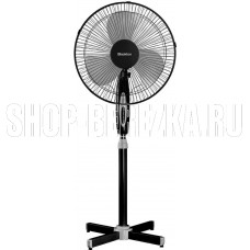 BLACKTON Bt F1120 Black