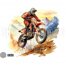 CACTUS Scheme 400x300x3мм (CS-MP-PRO14XL)