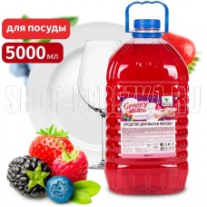 CLEAN&GREEN CG8168 Greeny Light Лесные ягоды 5л
