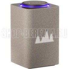 ЯНДЕКС YNDX-00053E Станция Макс с Zigbee бежевый