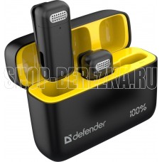 DEFENDER (64139) Talky-139 wrls, черный, кейс, 2шт