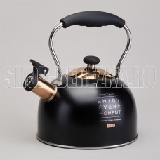AGNESS 914-162 2,5л индукция