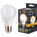 ENERGY LED А60-10-E27-3000 (109307)