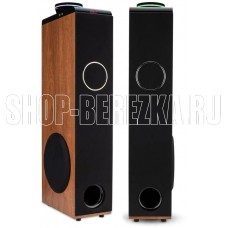 ELTRONIC (30-50 бук) HOME SOUND - колонка 08